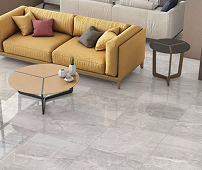 carreaux finition polie